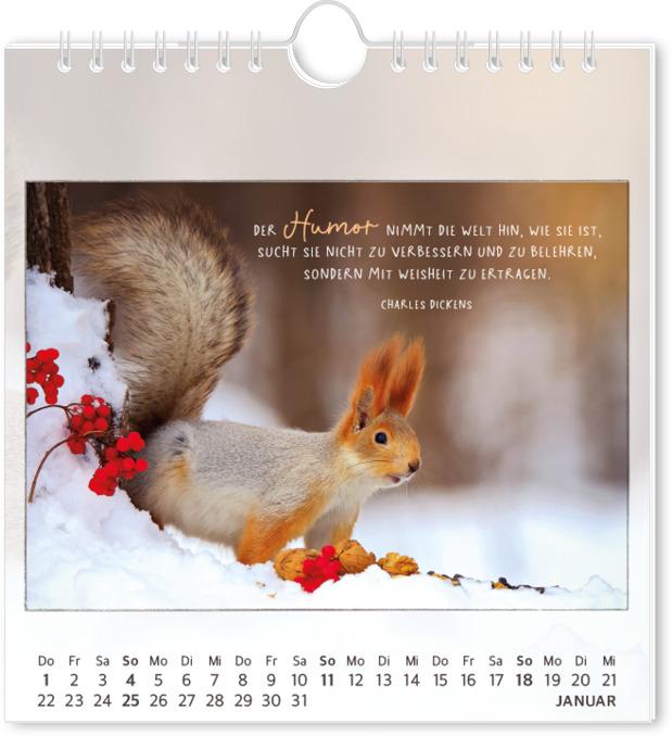 Produktbild Postkartenkalender 2026 Traumtage (16 x 17 cm, Deutsch)
