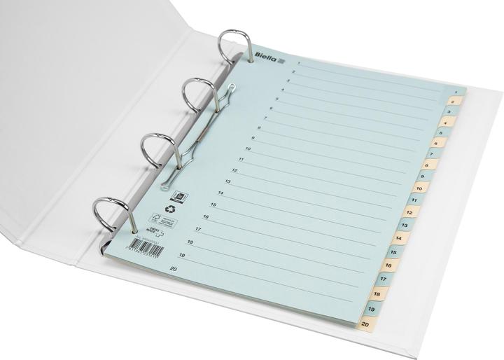 Actual product image Biella Register Cardboard coloured