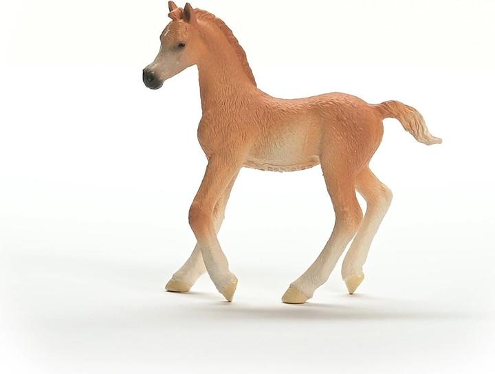 Image du produit Schleich Poulain arabe