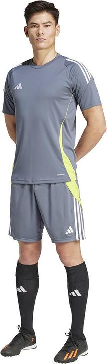 Actual product image adidas Tiro 24 training shorts men (S)