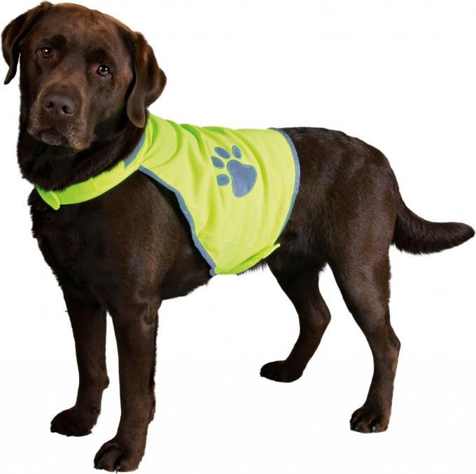 Actual product image Trixie Safety vest for dogs (XL, Dog vest)