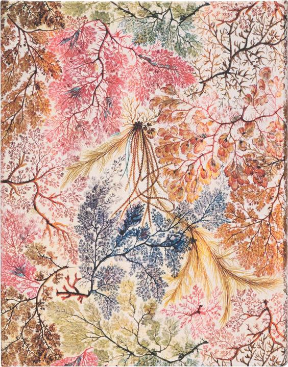 Immagine prodotto Paperblanks Notebook PB Ultra lin.Anemone (Righe, Copertina rigida)