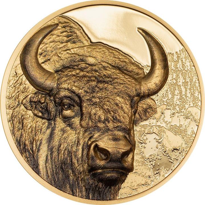 CIT Coin Invest Gold Bison 1 oz PP - High Relief 2025 (999.90, 2025)