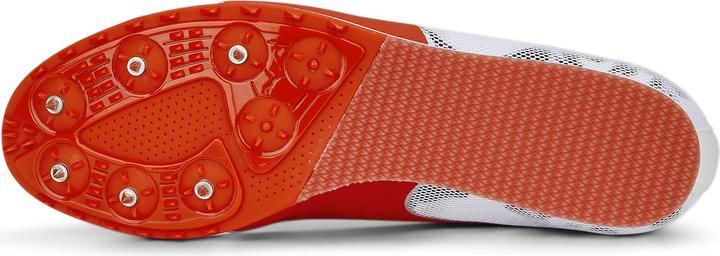 Produktbild Puma evoSPEED Star 8 (48)