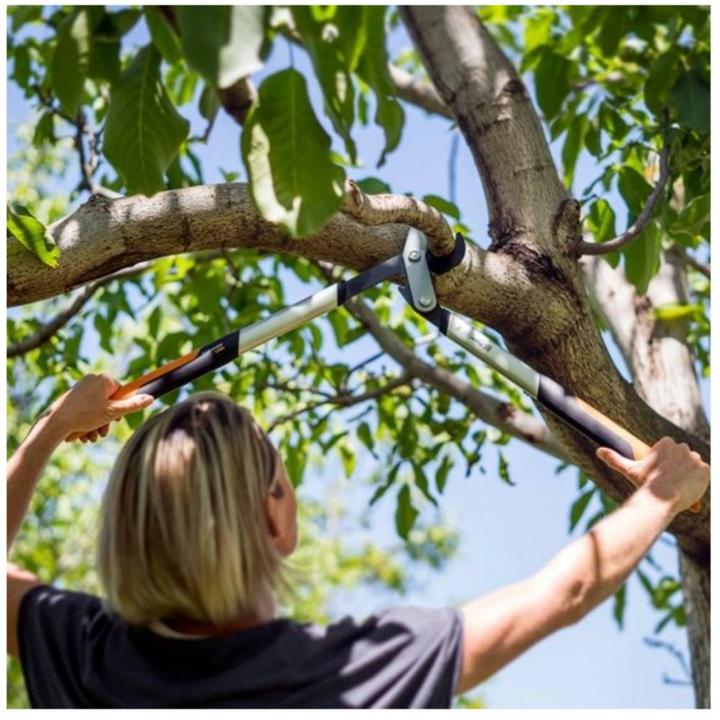 Actual product image Fiskars Branch shears bypass PowerGearX LX