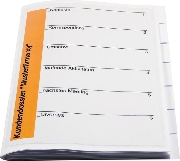 Produktbild Biella Ordnungsmappe Orga-File (A4, 1 x)