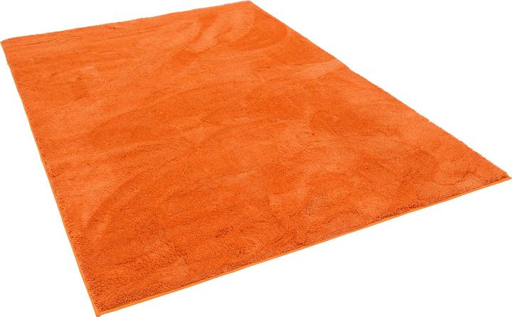 Produktbild Pergamon Super Soft Kinder Hochflor Teppich Silky Kids (200 x 290 cm)