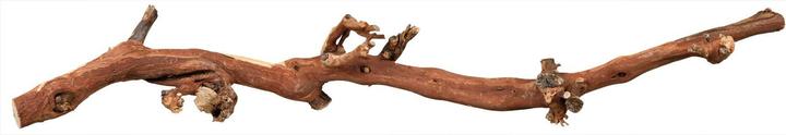 Actual product image Trixie Vine