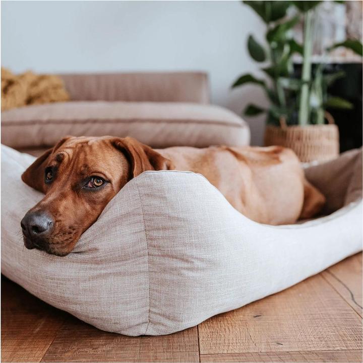 Produktbild Hunter Orthopädisches Hundebett Seattle (Hund)