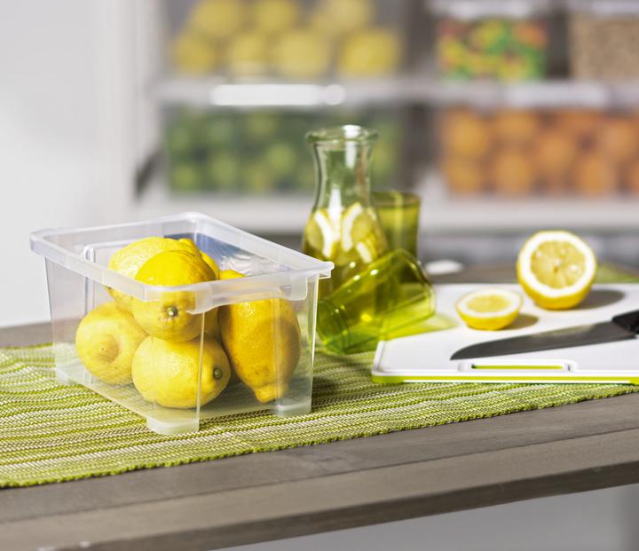 Immagine prodotto Rotho Evo Easy (12 x 10 x 18 cm, 1.20 l)