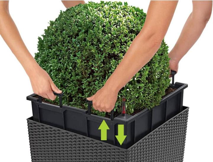 Produktbild Lechuza Cube Cottage (29.50 cm)