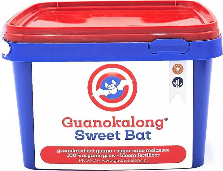 Guano Kalong Dolce Pipistrello (1 kg)