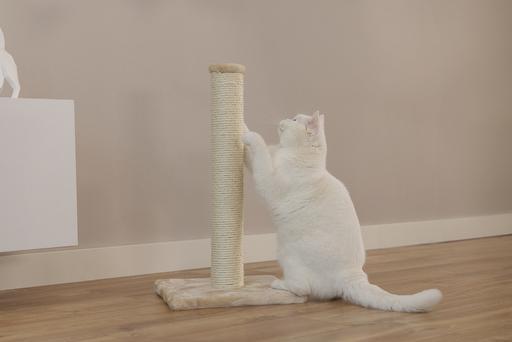 Image du produit Beeztees Mobilier pour chats (60 cm, Beige)