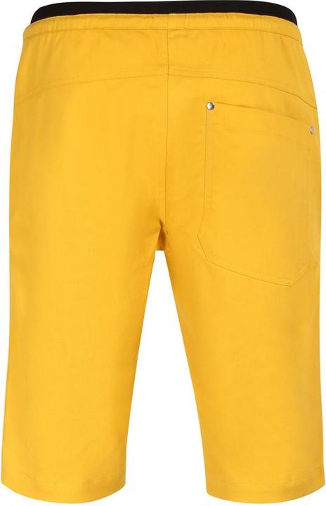 Actual product image Directalpine Rock Shorts 1.0, Kurze Hose, Herren (Regular Fit) - Direct Alpine, 200 (XL)