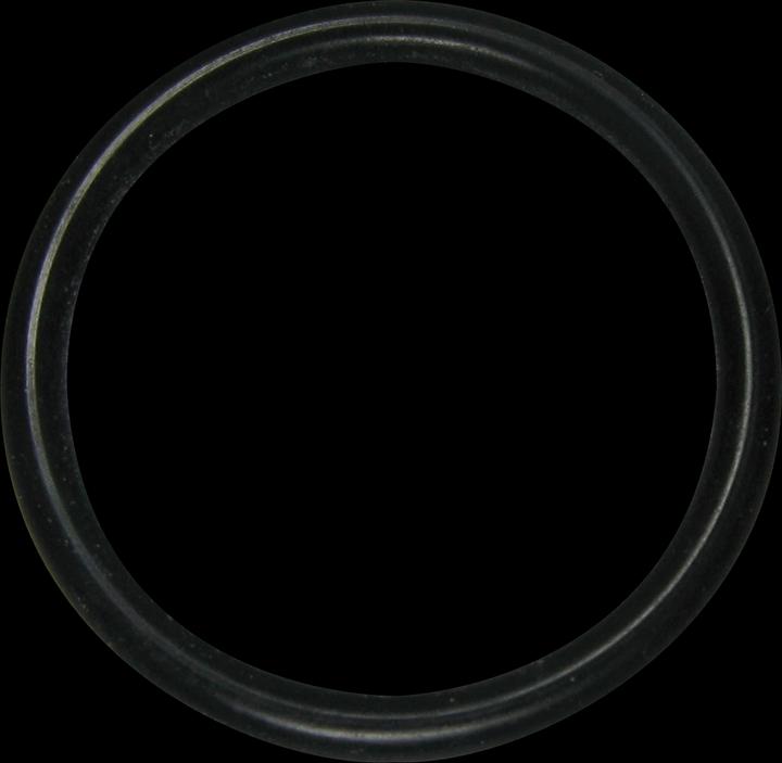 Itap O-Ring NBR 25 mm Typ 056