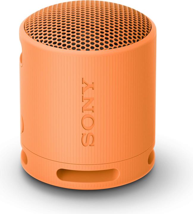 Sony SRS-XB100 (16 h, Rechargeable battery operated)