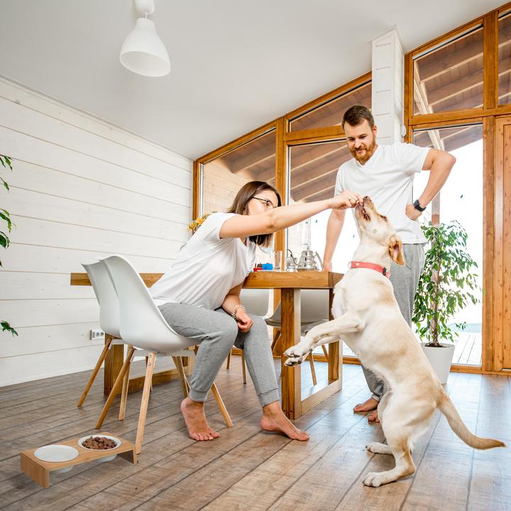 Actual product image Relaxdays Dog food station (0.27 l)