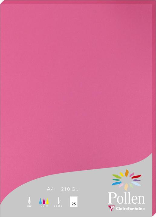 Image du produit Pollen Papier (210 g/m², 25 x, A4)
