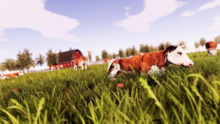 Actual product image Bandai Namco Real Farm Sim, PS4 (PS4)