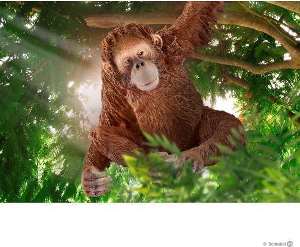 Actual product image Schleich female orangutan