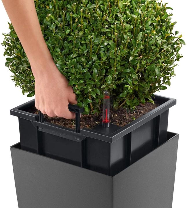 Immagine prodotto Lechuza Vaso per piante Cubico Premium 22 marrone, volume: 6 litri (22 cm)