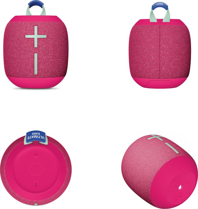 Actual product image UE Wonderboom 4 (14 h, Rechargeable battery operated)