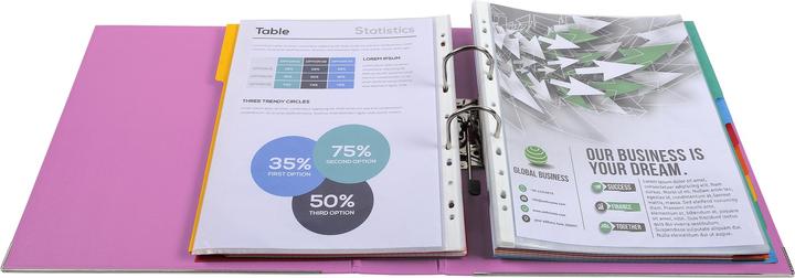 Actual product image Exacompta Folder (A4, 80 mm, 1 Piece)