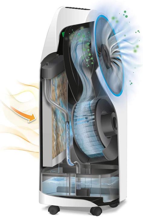 Immagine prodotto De'Longhi EV250 (20 m², 239 BTU/h)