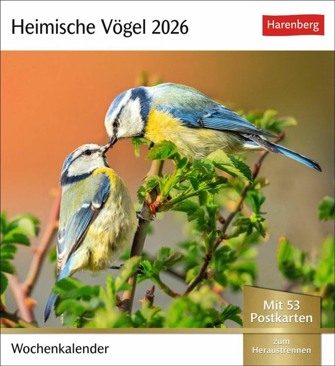 Produktbild Harenberg Heimische Vögel Postkartenkalender 2026 - Wochenkalender mit 53 Postkarten (Deutsch)