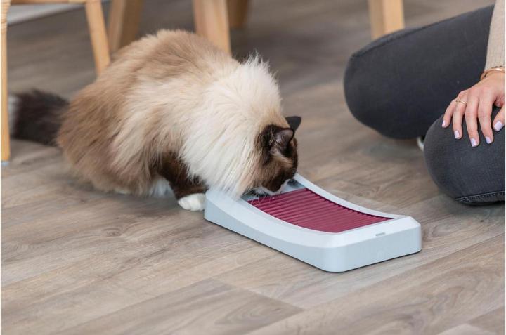 Produktbild Trixie Katzen-Strategiespiel Rod Board, 35 × 19.5 cm (Intelligenzspielzeug Katze)