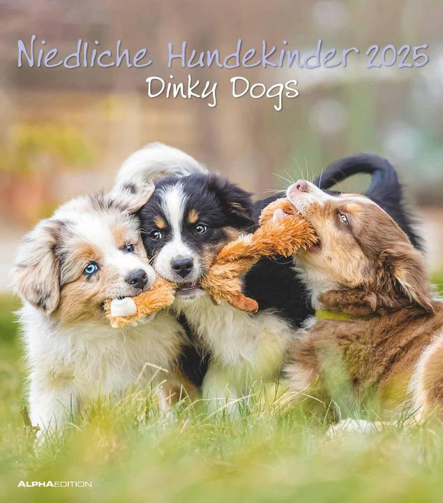 Immagine prodotto Alpha Edition Calendario con foto di cani carini per bambini 2025, 30x40cm, calendario di alta qualità (30 x 34 cm, Copertina rigida, Tedesco)