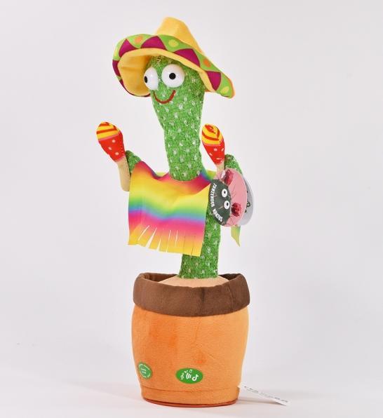 Immagine prodotto Kögler Cactus danzante (32 cm)