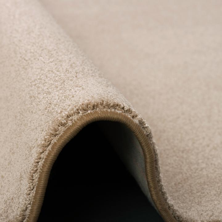Produktbild Snapstyle Hochflor Luxus Velours Teppich Touch (80 x 320 cm)
