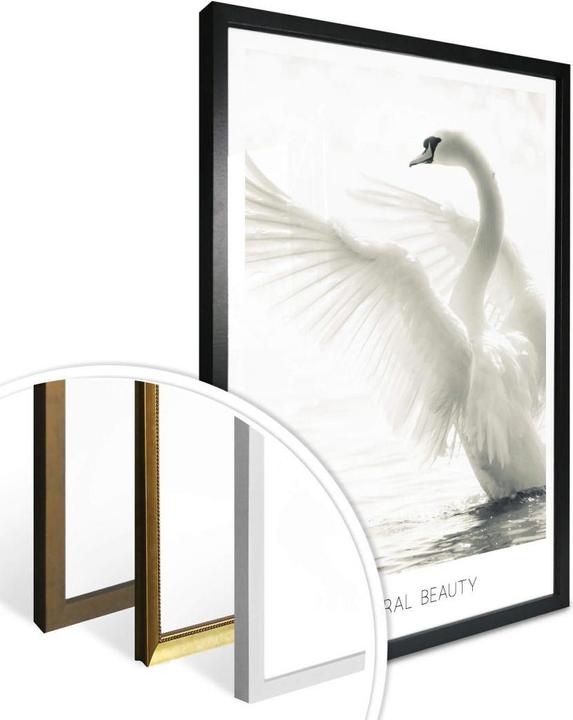 Actual product image Trenddeko Majestic swan - Natural Beauty (40 x 50 cm)