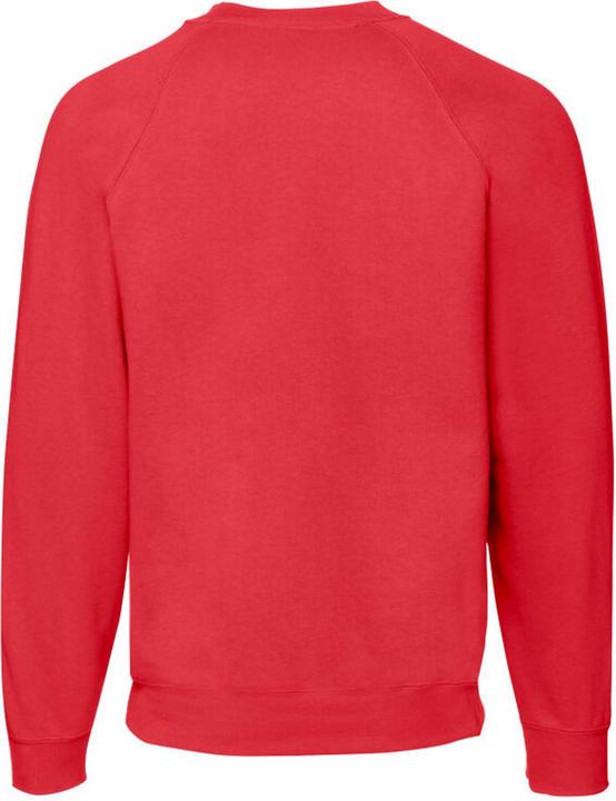Image du produit Fruit of the Loom - Sweat PREMIUM - Homme (L)