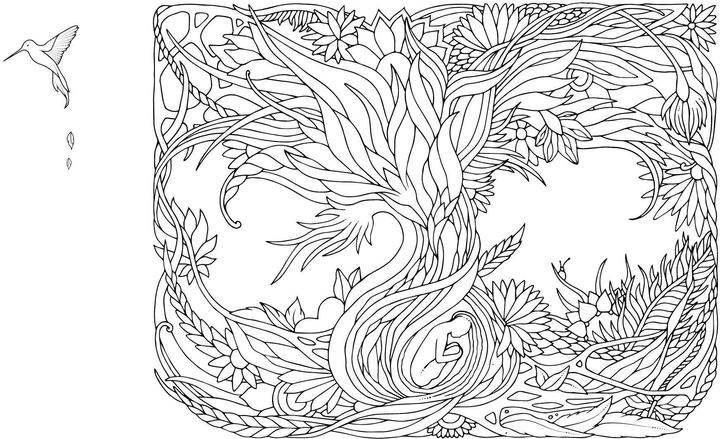 Actual product image Colouring book: Kaleidoscope of the imagination