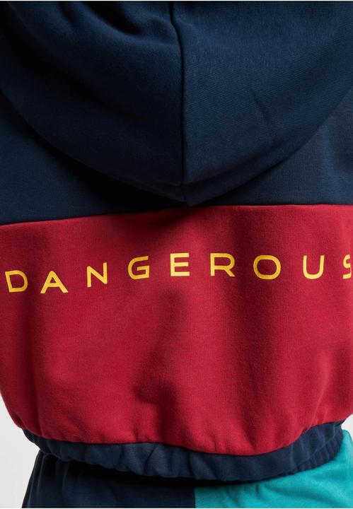 Image du produit Dangerous DNGRS Sweat à capuche 4C - 139053 (S)