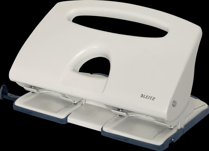Actual product image Leitz Double holes