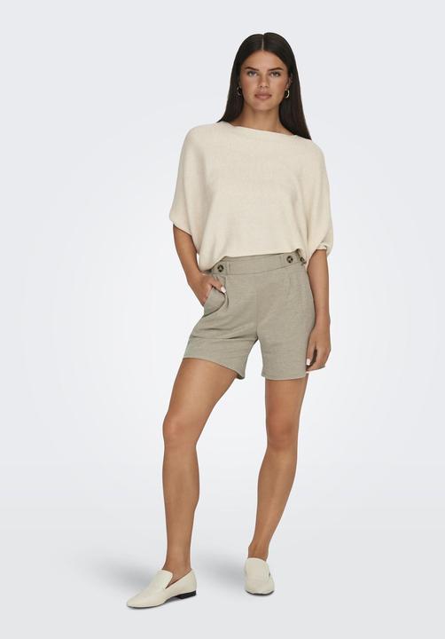 Actual product image JdY Regular fit shorts Shorts (M)