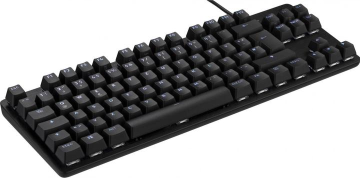 Actual product image Logitech G413 (DE, Cable)
