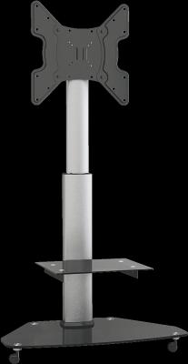 Actual product image myWall Hp 1 C (Universal, 55", 40 kg)