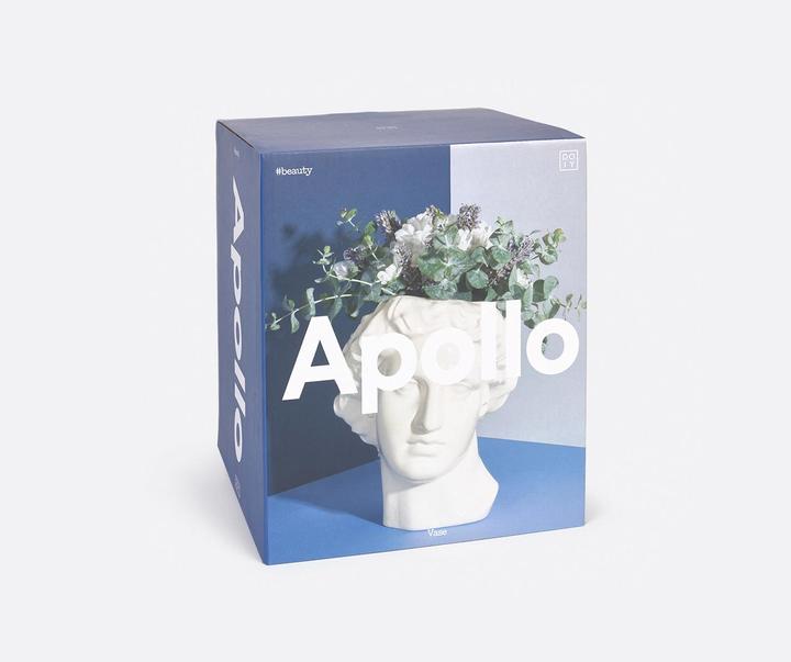 Actual product image Doiy Apollo Vase (1 x)
