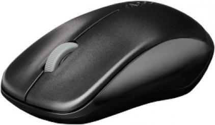 Actual product image Rapoo 1620 (Wireless)
