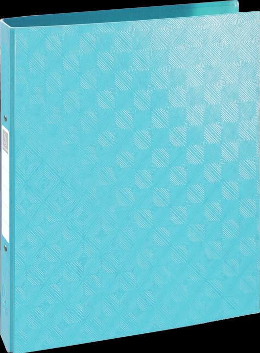 Immagine prodotto Exacompta Raccoglitori ad anelli (A4, 40 mm, 120 Pezzo/i)