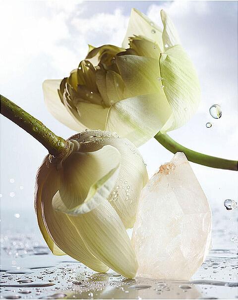 Image du produit Bulgari Rain Essence Eau de Parfum (Eau de parfum, 60 ml)
