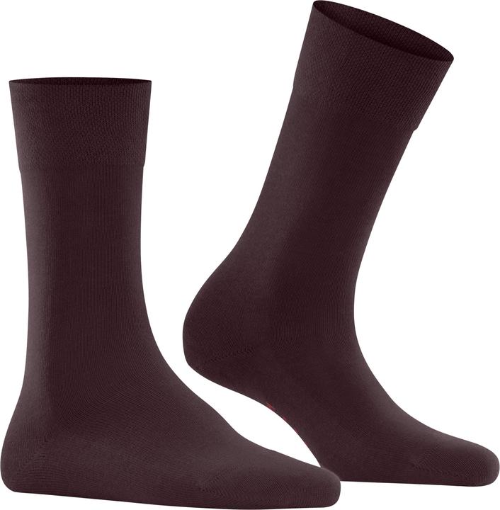 8596 barolo