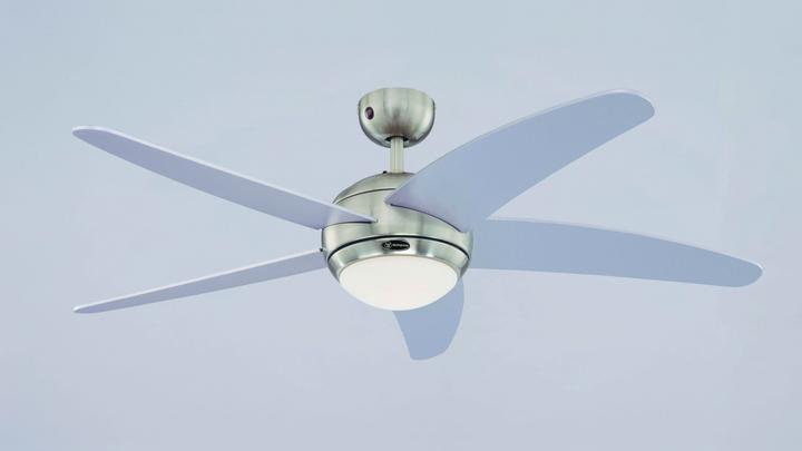 Actual product image Westinghouse Bendan (50 dB)