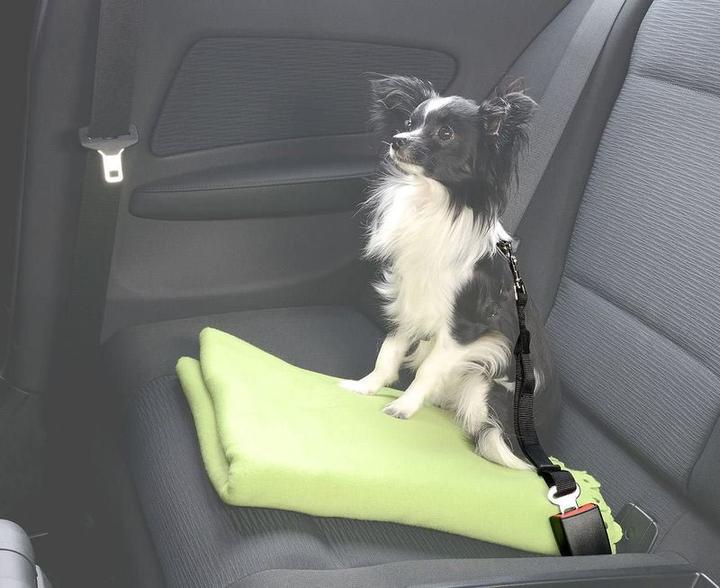 Immagine prodotto Hermex Cintura di sicurezza dell'auto del cane (Cane, Riflettori)