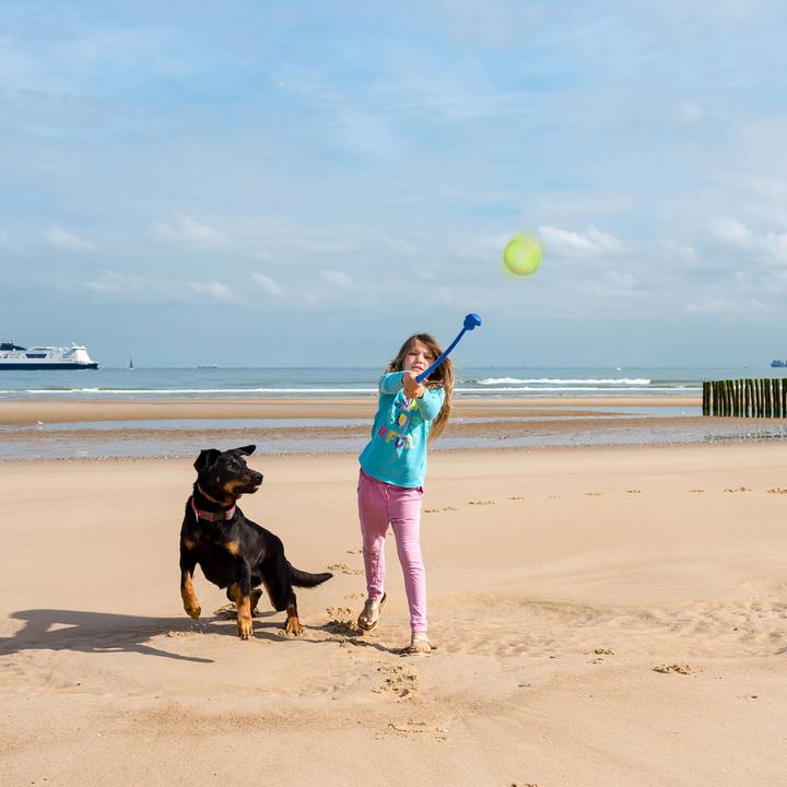 Produktbild Relaxdays 12-tlg. Ballschleuder-Set (Ballspielzeug Hund)