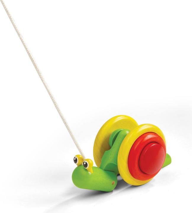 Image du produit Plantoys Vis traînante